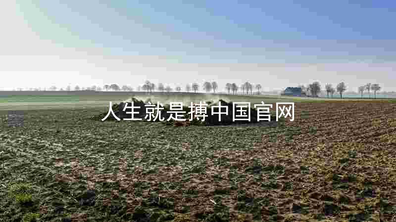 人生就是搏中国官网