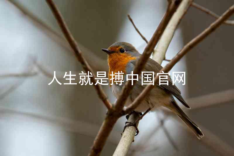人生就是搏中国官网